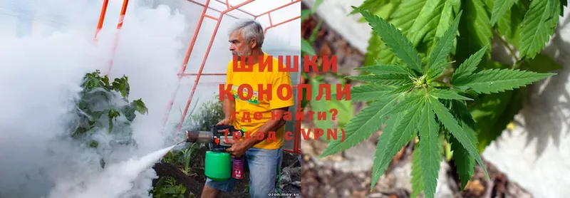 Конопля THC 21%  сколько стоит  Кемь 